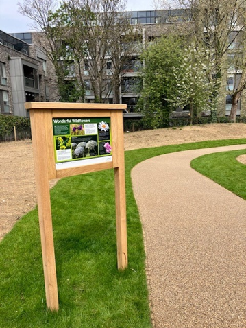 Paved walkway and grass, brown building in background